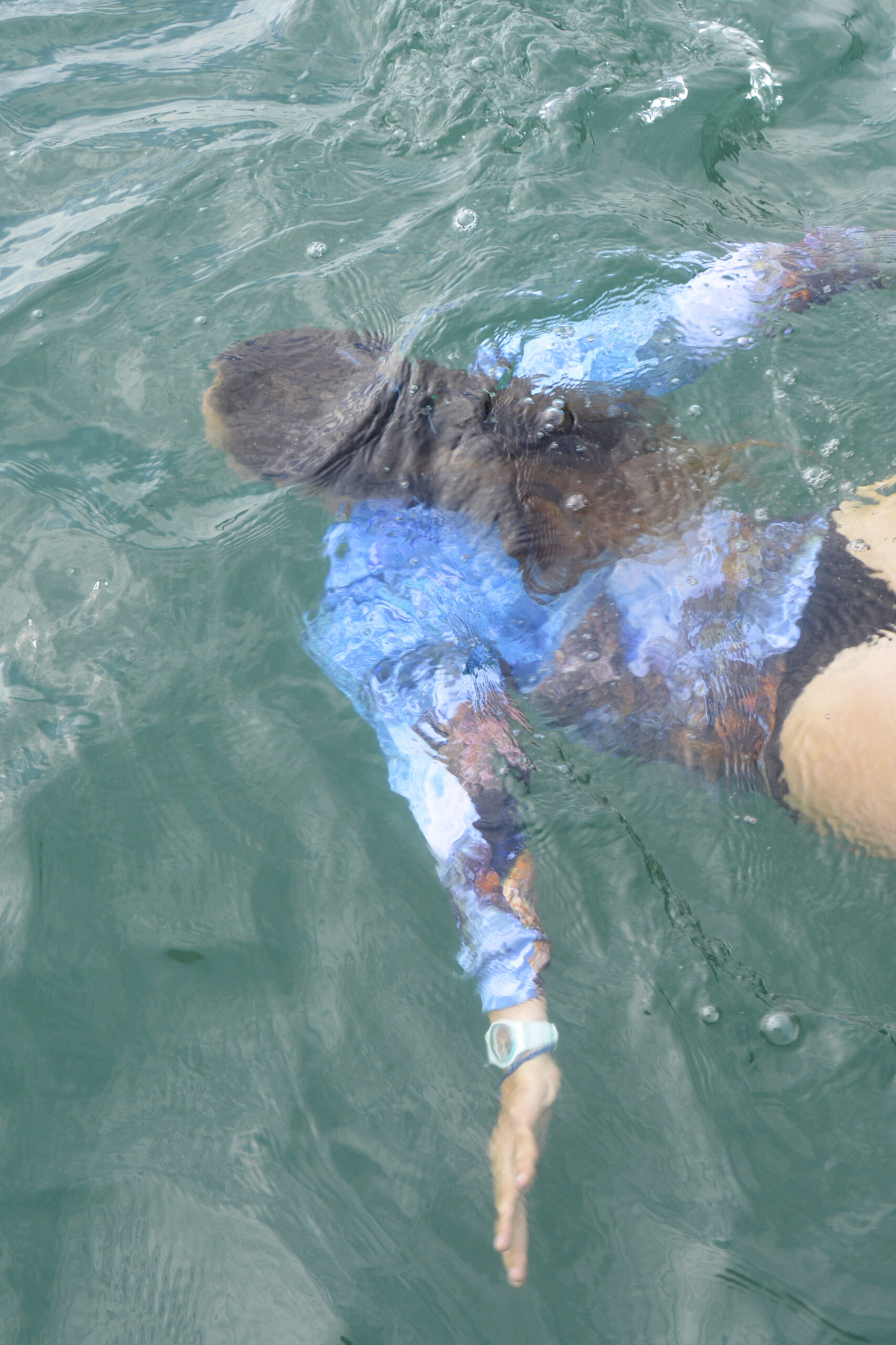 Aguas – Image 3